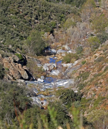 Black Canyon Road Creek