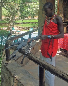 48a Samburu Tribesman with Birds