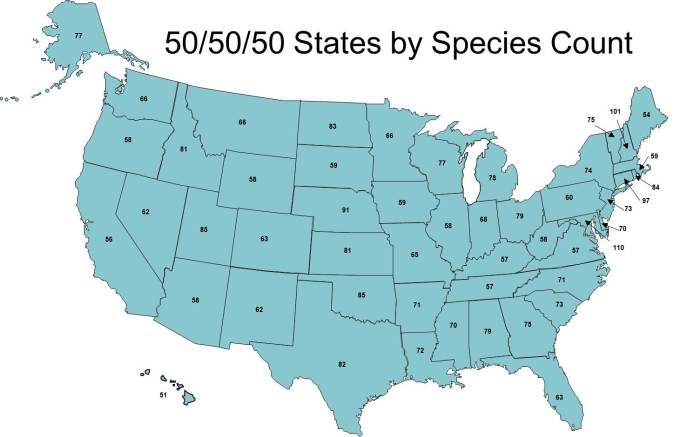 By Species Count Blue